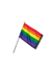 Banderin Pequeño con Bandera LGBT+ 30 cm