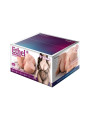 Ethel Masturbator Torso con Thrusting 11.4 kg