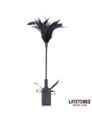 Multi Feathers Tickler and Lace Ribbon Paddle Comb