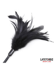 Multi Feathers Tickler and Lace Ribbon Paddle Comb