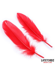 Set de 3 Piezas Antifaz, Plumas y Esposas
