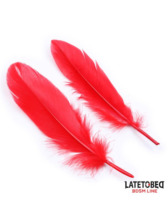 Set de 3 Piezas Antifaz, Plumas y Esposas