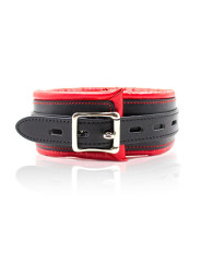 Collar con Correa de Metal e Interior Acolchado Negro/Rojo