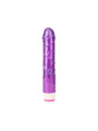 Vibrador Multi Velocidad 23 cm Púrpura