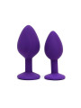 Set de 2 Plugs con Joya Berlin Purpura