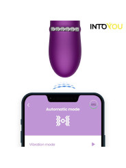 Sendel Vibrador con Anillo de Bolas Internas Up and Down y Pulsación con App