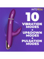 Sendel Vibrador con Anillo de Bolas Internas Up and Down y Pulsación con App