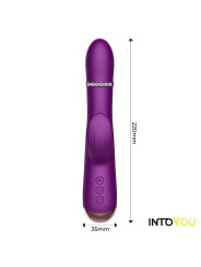 Sendel Vibrador con Anillo de Bolas Internas Up and Down y Pulsación con App