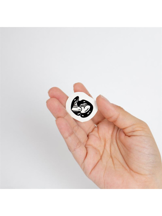 Set de 10 Tattoos Temporales Spicy Collection