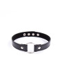 Collar con Aro Ajustable 38,2 cm Negro