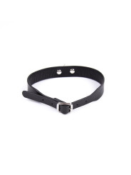 Collar Ajustable 43 cm Negro