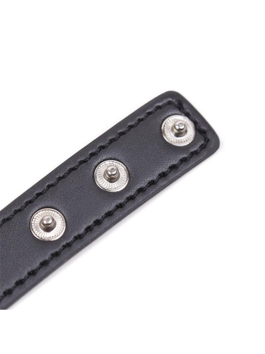 Collar con Aro en Forma de Corazón Ajustable 41,5 cm Negro